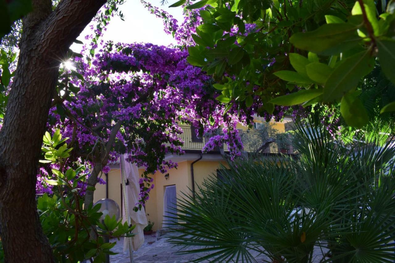 Agriturismo Il Marchese Aquara Buitenkant foto